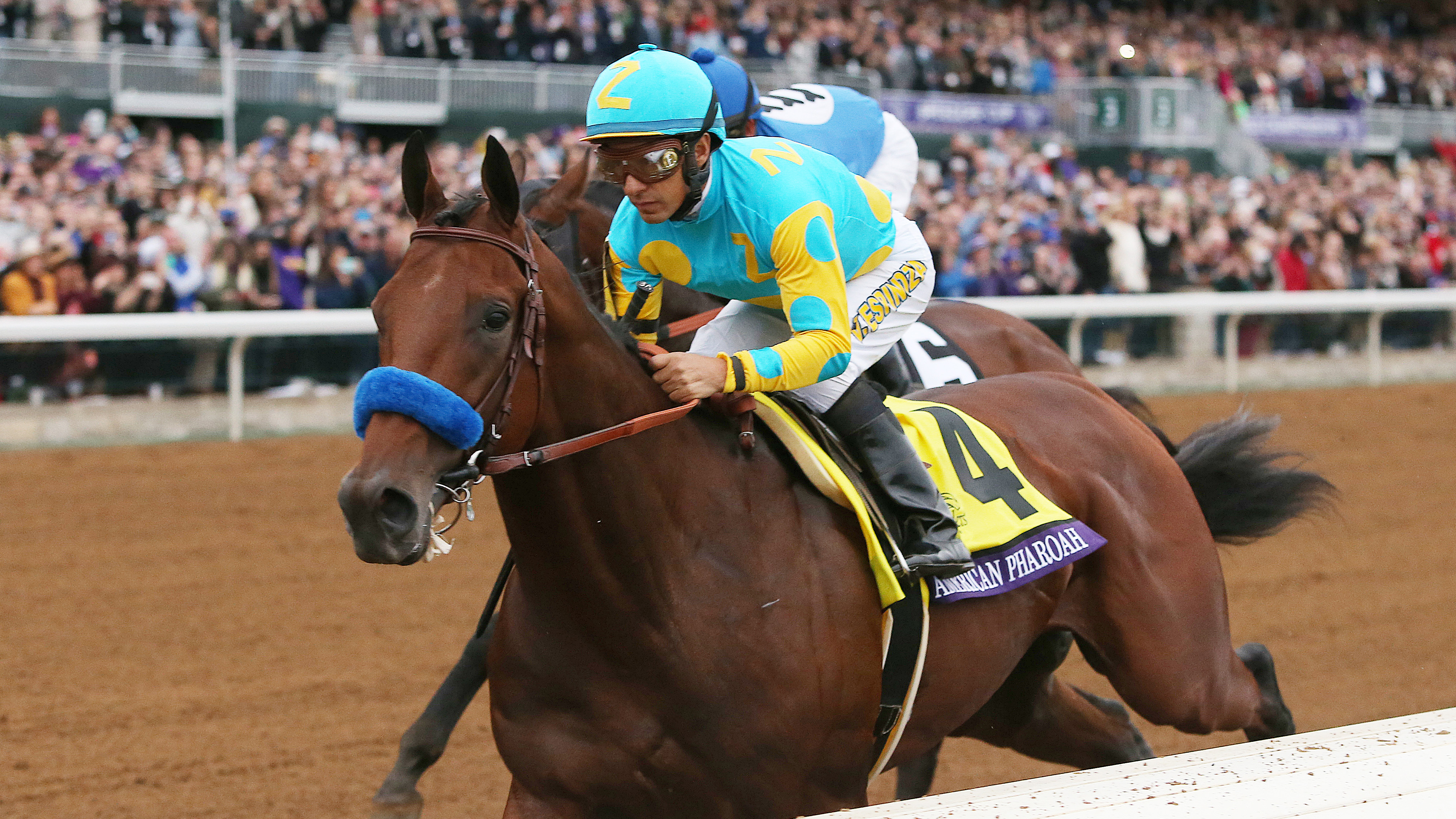 Triple Crown Winner American Pharoah Gets First Breeders Cup Win As A Sire Nbc Sports